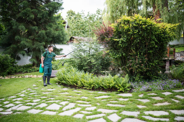 Best Pest Prevention Services  in Martindale, TX