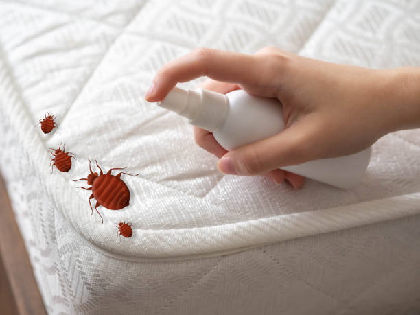 Best Pest Control for Restaurants  in Martindale, TX